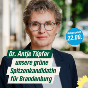 Dr. Antje Töpfer